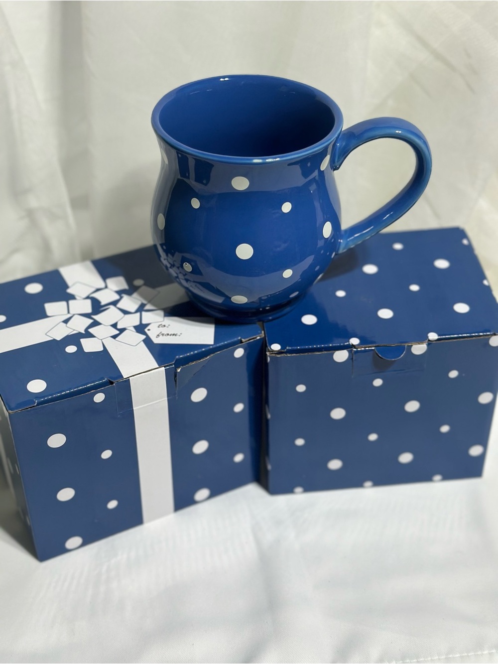Temp-Tations Blue and White Polka Dot Ceramic Mug